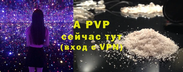 гашик Баксан